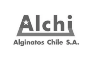 Alchi confía sus bolsas plásticas a Enflex - Fábrica de bolsas plásticas